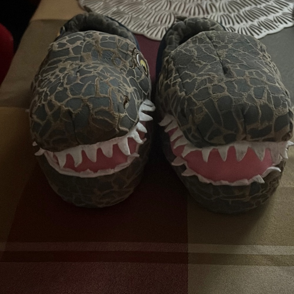 Little Boys Jurassic World Slippers.